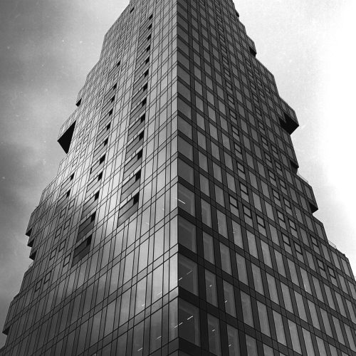 pexels-david-underland-10487401